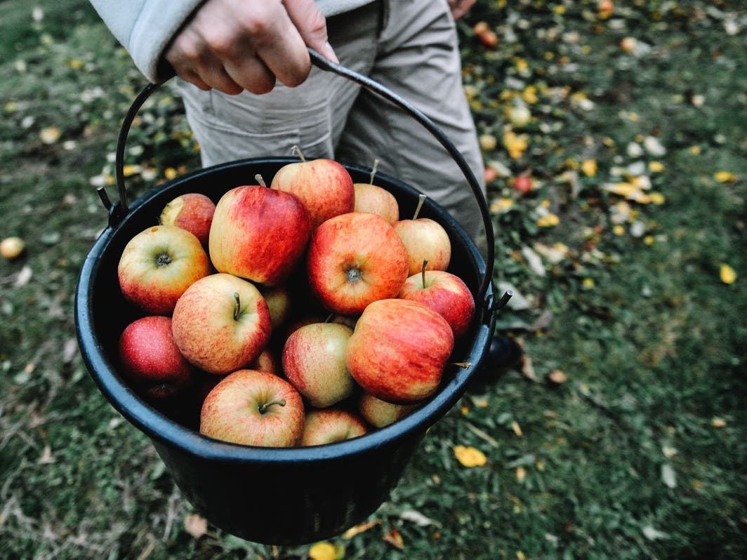 apple orchard near dekalb illinois