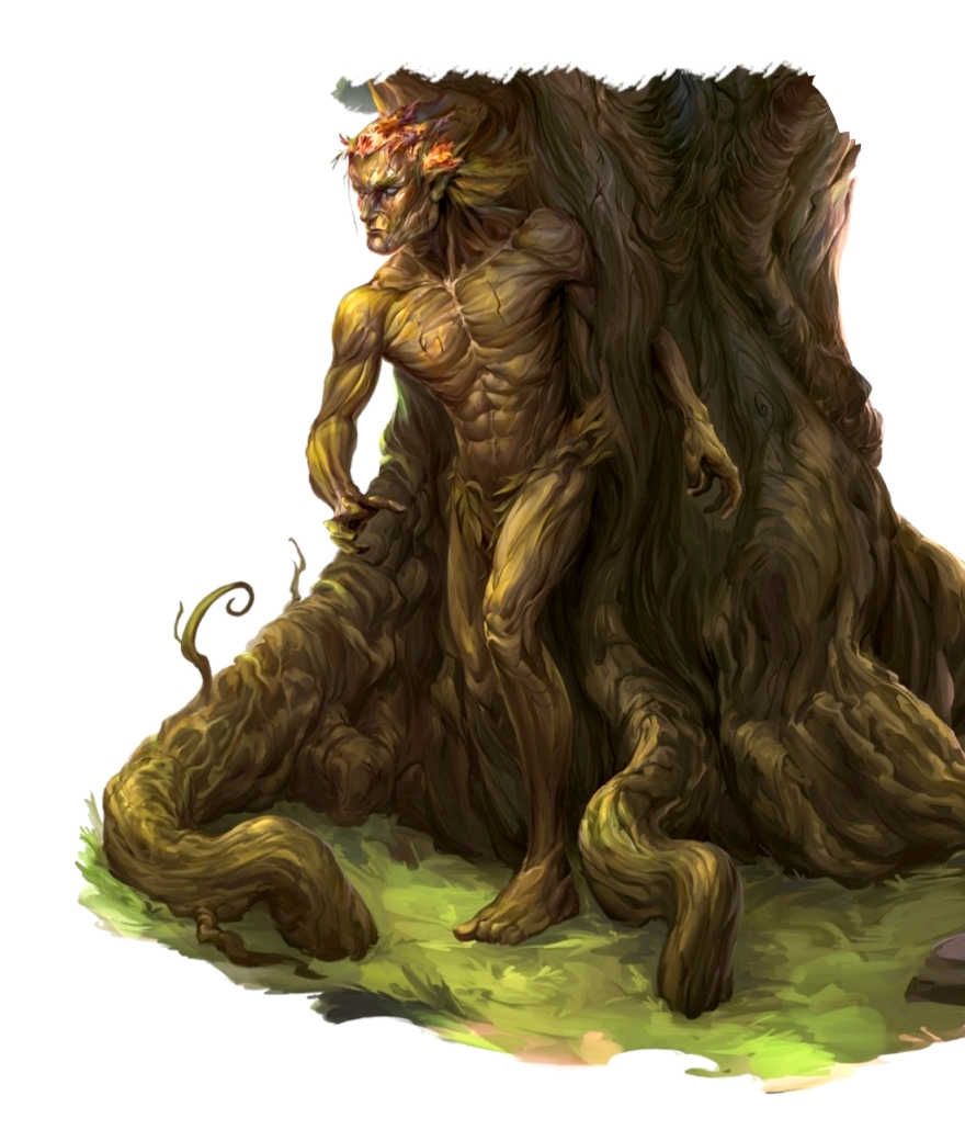 dnd dryad