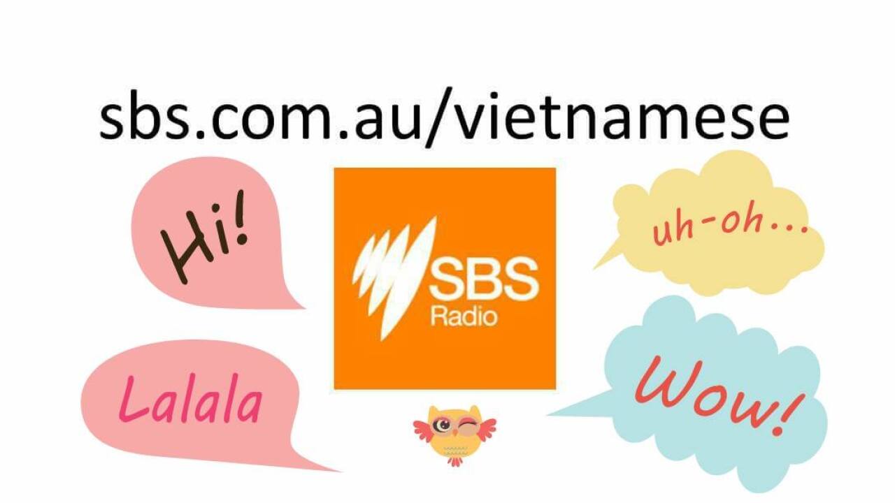 sbs vietnamese radio mới nhất