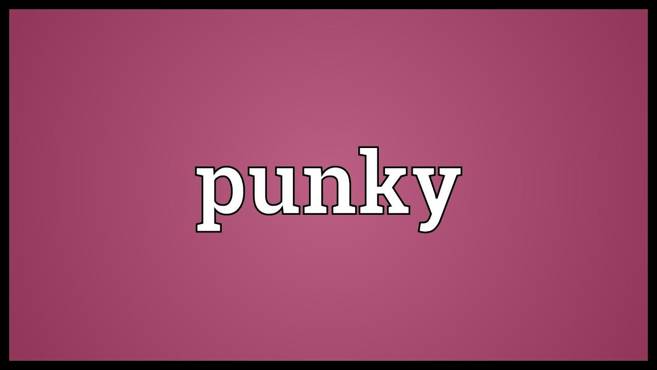 punky definition