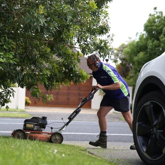 lawn mowing for sale