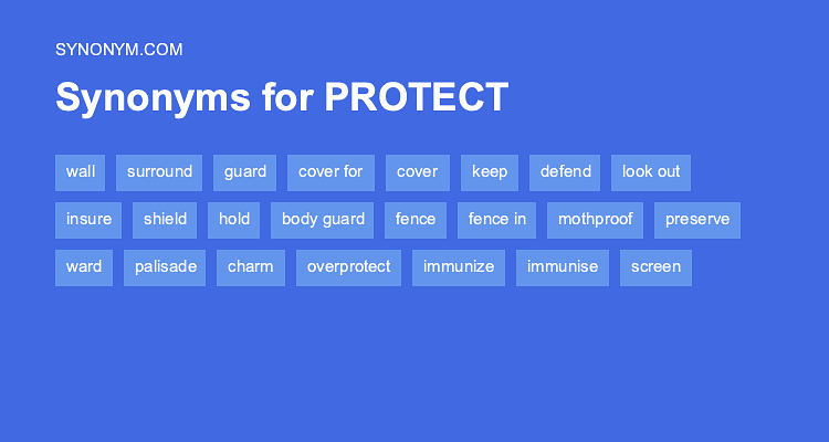 protect thesaurus