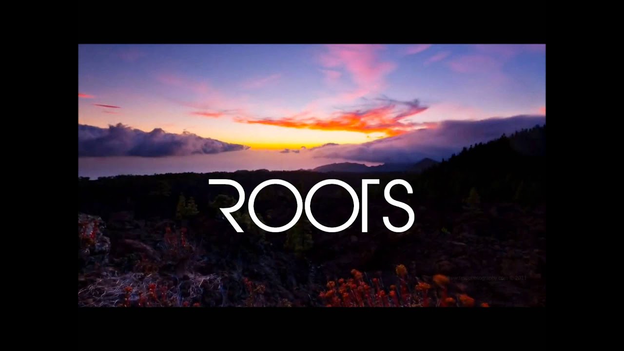 imagine dragons roots indir