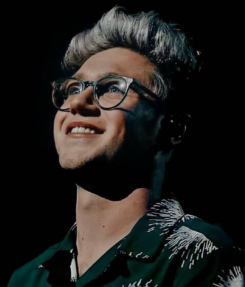 niall horan glasses