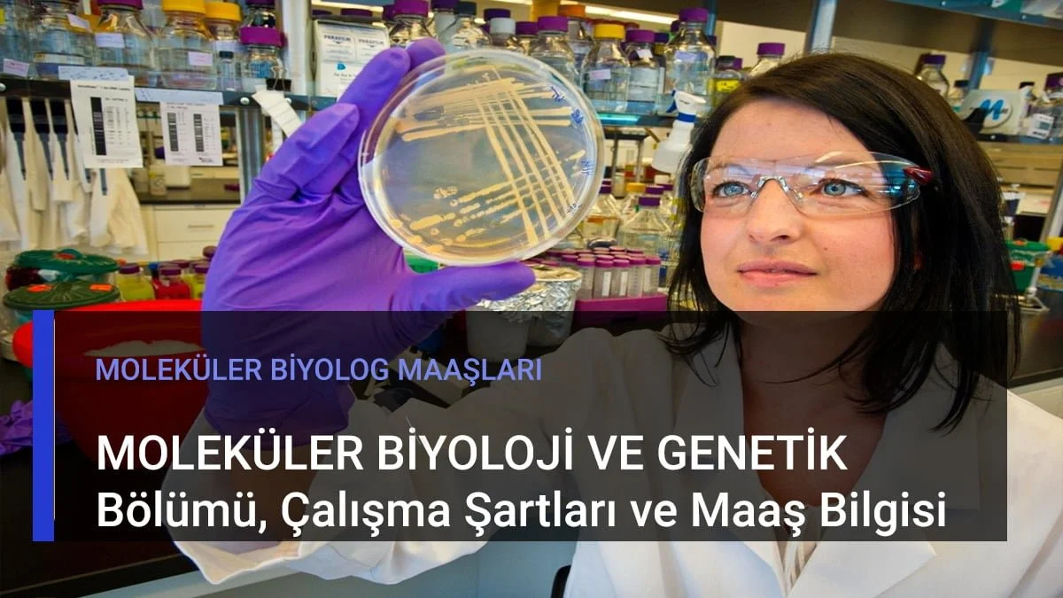 moleküler biyoloji ve genetik maaş 2022