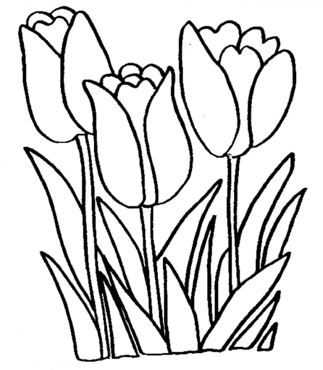 tulip clipart black and white