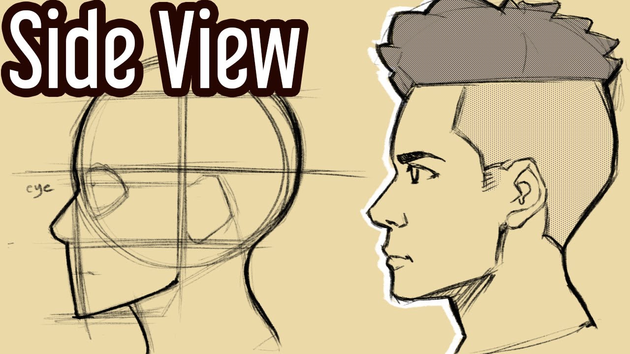 how to draw side profiles