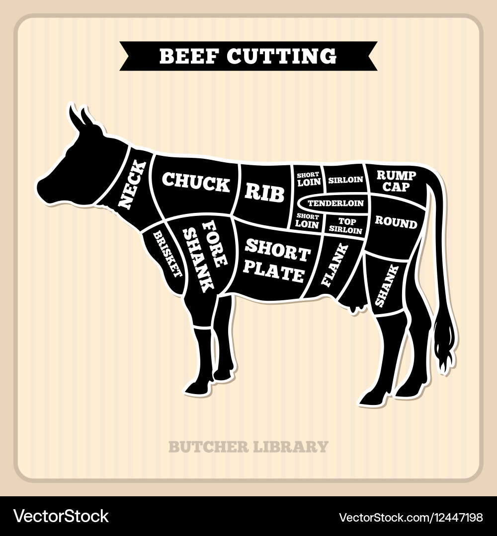 cow beef diagram