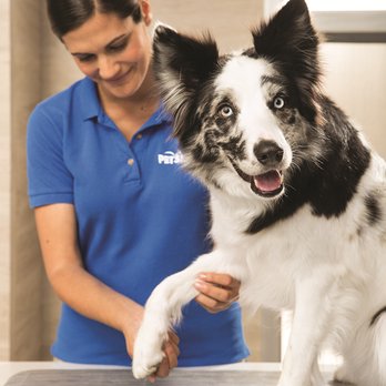 petsmart hot springs grooming