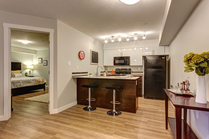 55 plus apartments for rent in edmonton