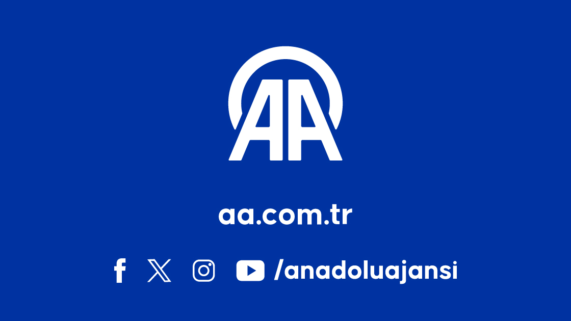 www.aa.com