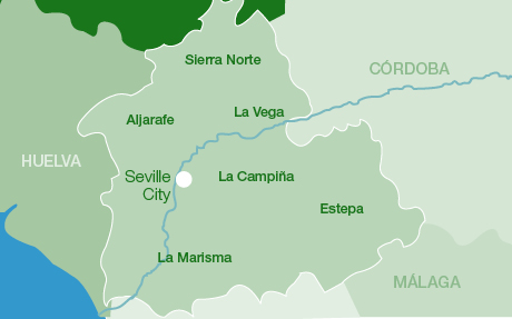 greater sevilla metropolitan area