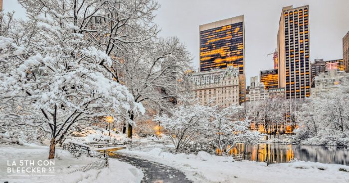 tiempo en nueva york 15 dias