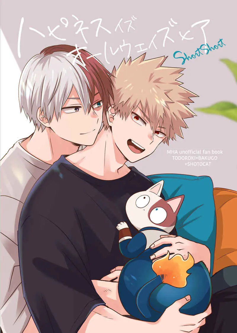 bakugou x todoroki