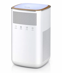 carb certified air purifiers