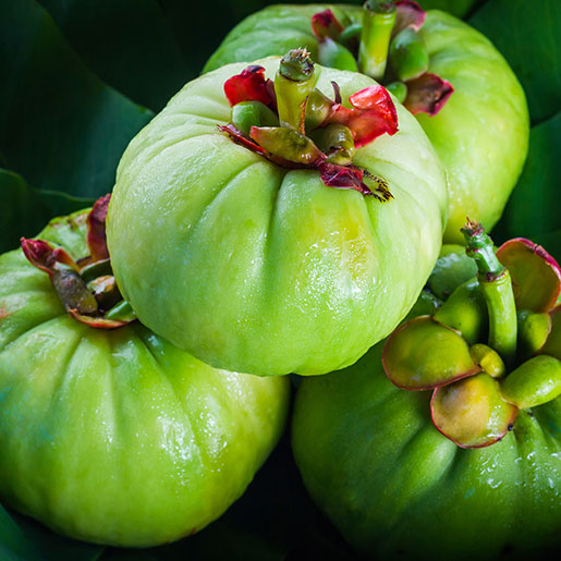 garcinia de gamboa