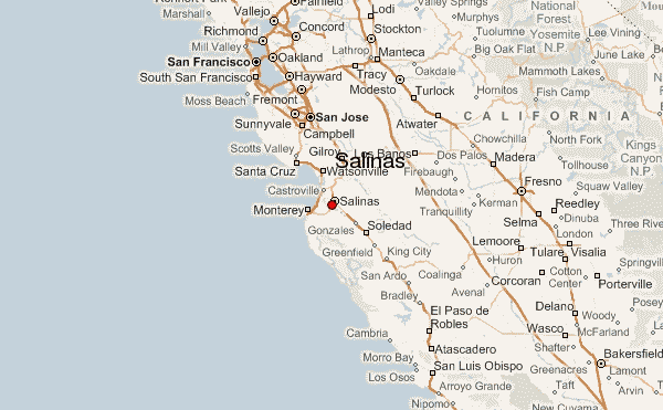 salinas forecast