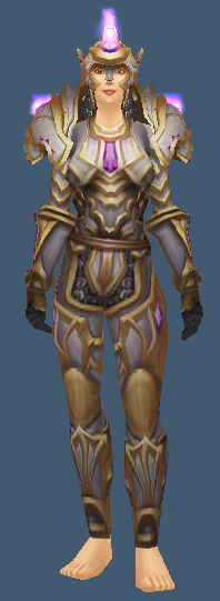 paladin tier 4 set