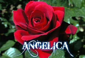 nombre angelica en 3d