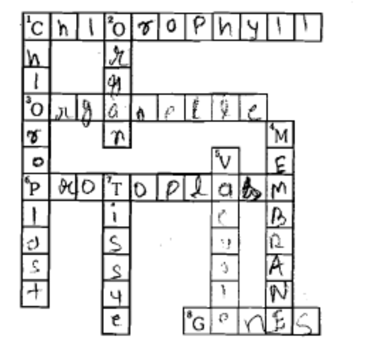 crossword surround