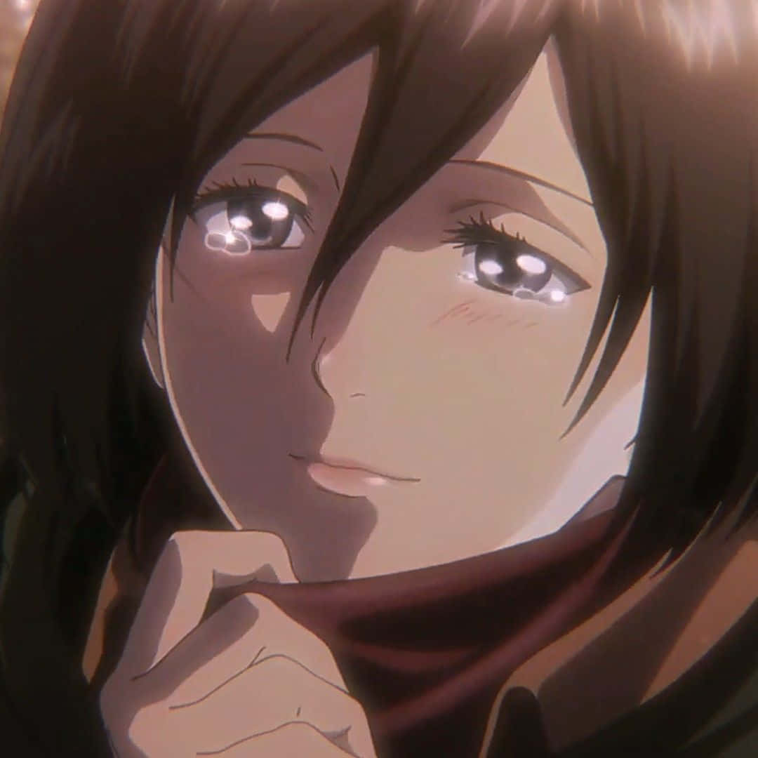 mikasa pfp