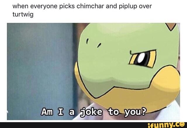 chimchar meme