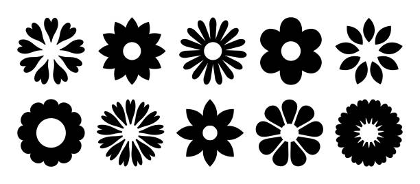 flower vector art