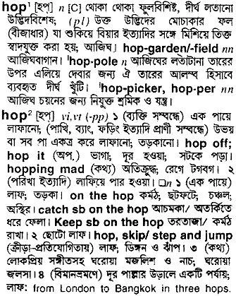 hoop meaning in bengali