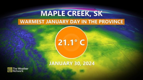 maple creek weather network