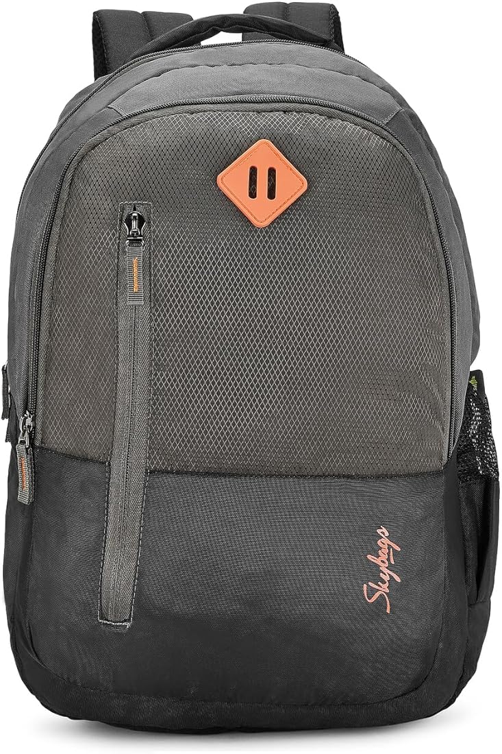 skybags grey backpack