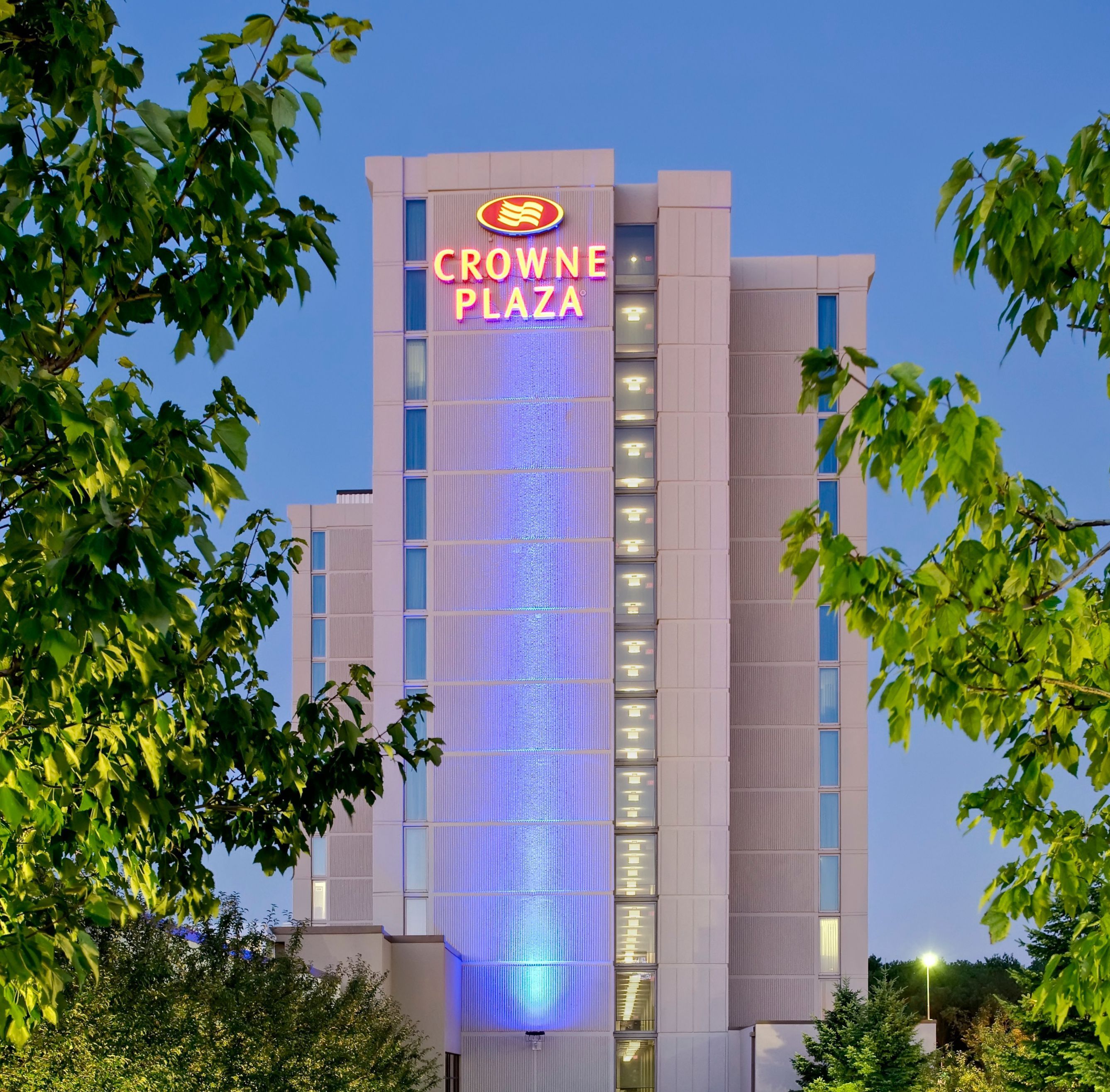 hotels rosemont