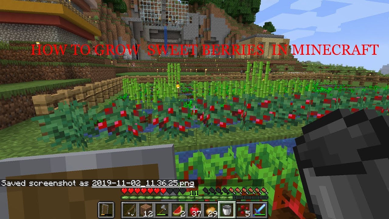 how to grow sweet berries in minecraft