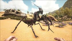 ark survival mantis