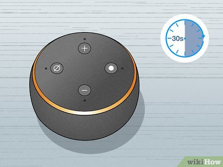 how to put echo dot into setup mode