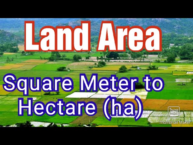 how many square meters in a hectare