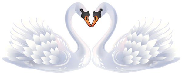 clip art swan