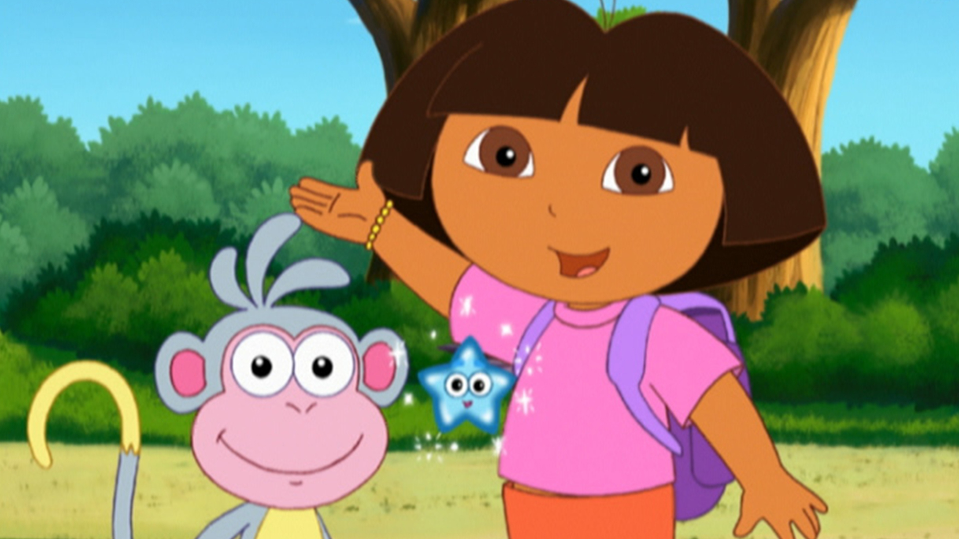 dora the explorer star catcher