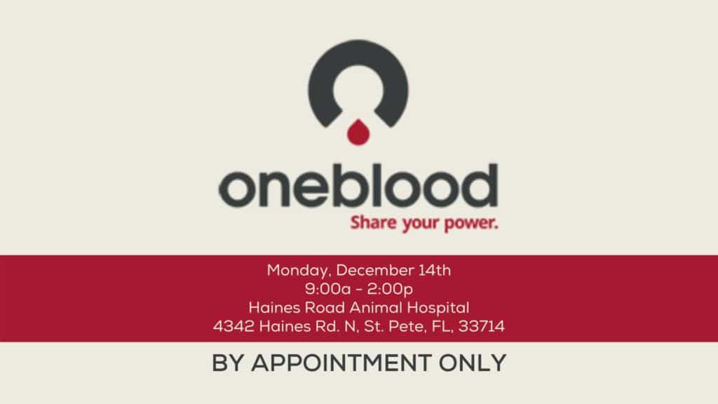 oneblood st pete