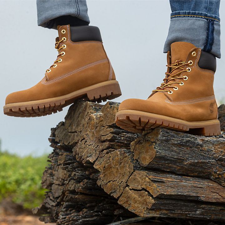 6 inch premium waterproof boot timberland