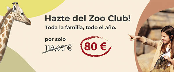 2x1 zoo barcelona club super 3