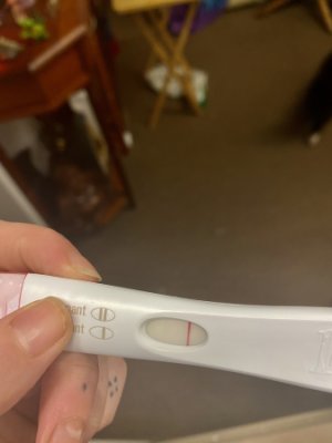 pregnancy test 6dpo
