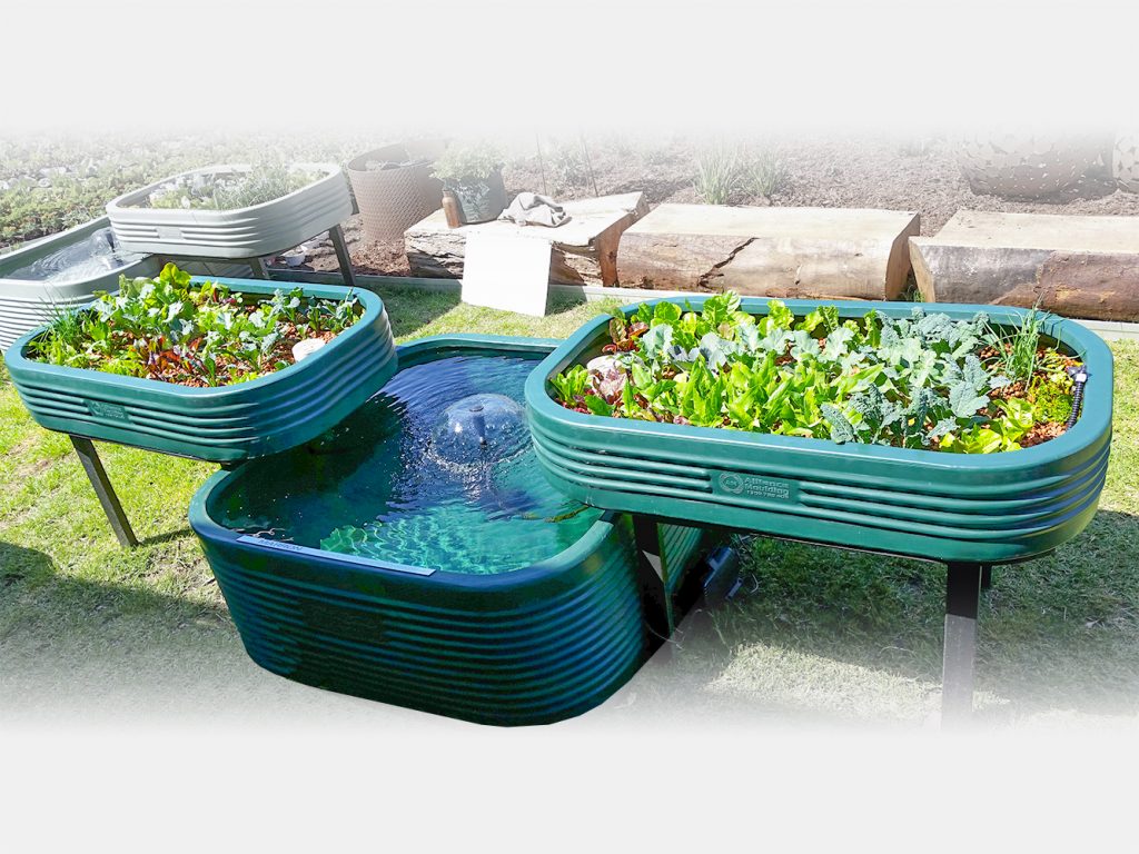 aquaponics wa