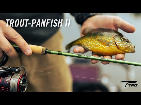 tfo trout panfish