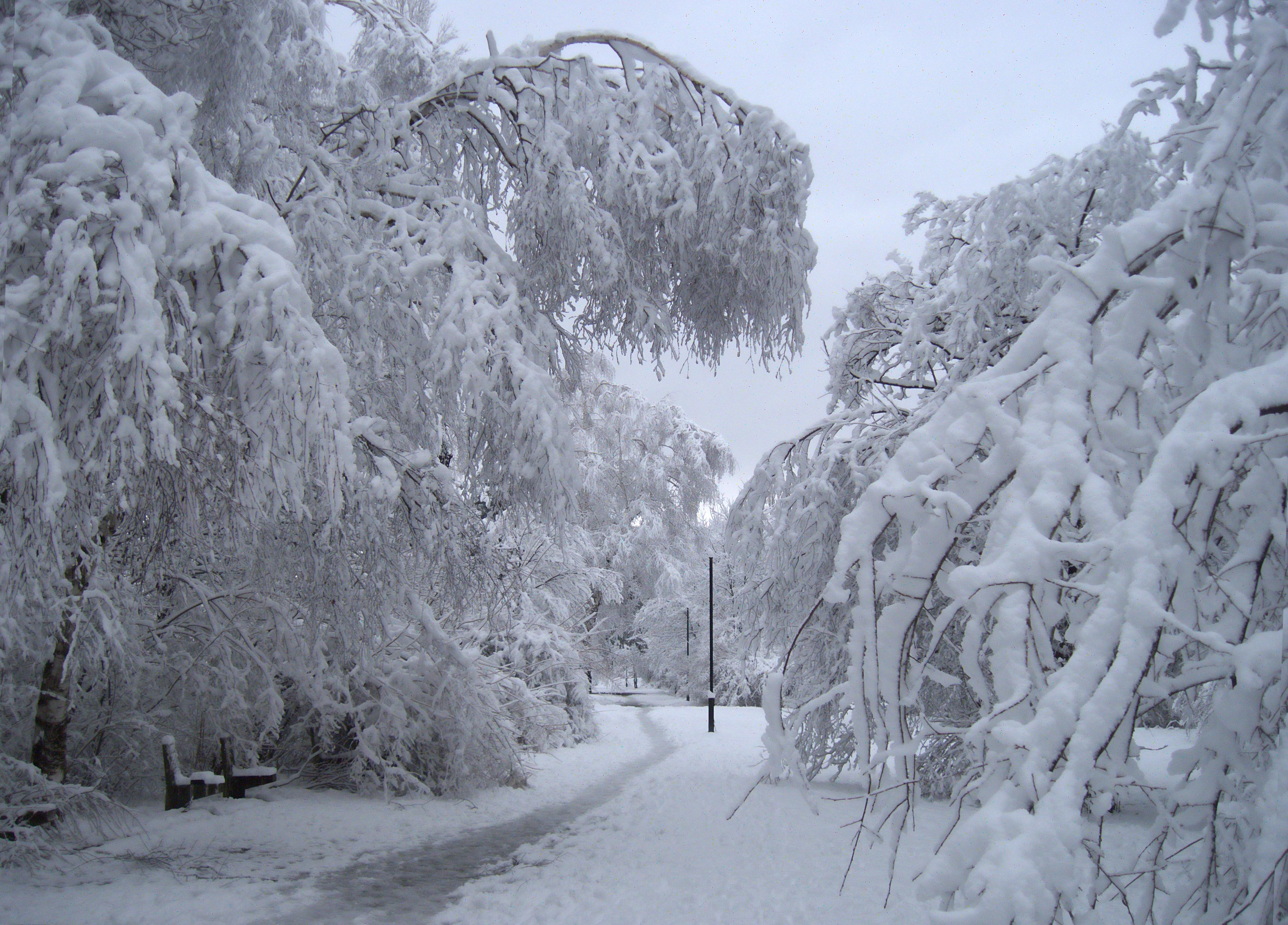 weather today markham