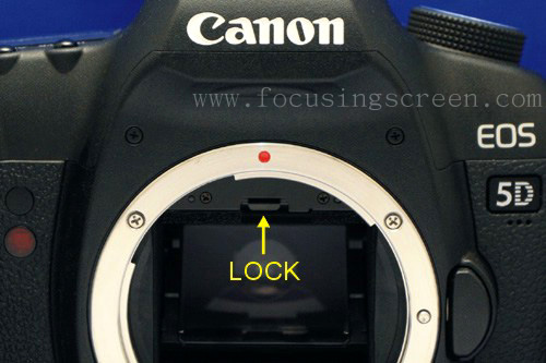 canon 6d focusing screen