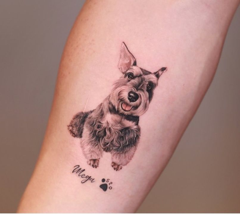 miniature schnauzer tattoo