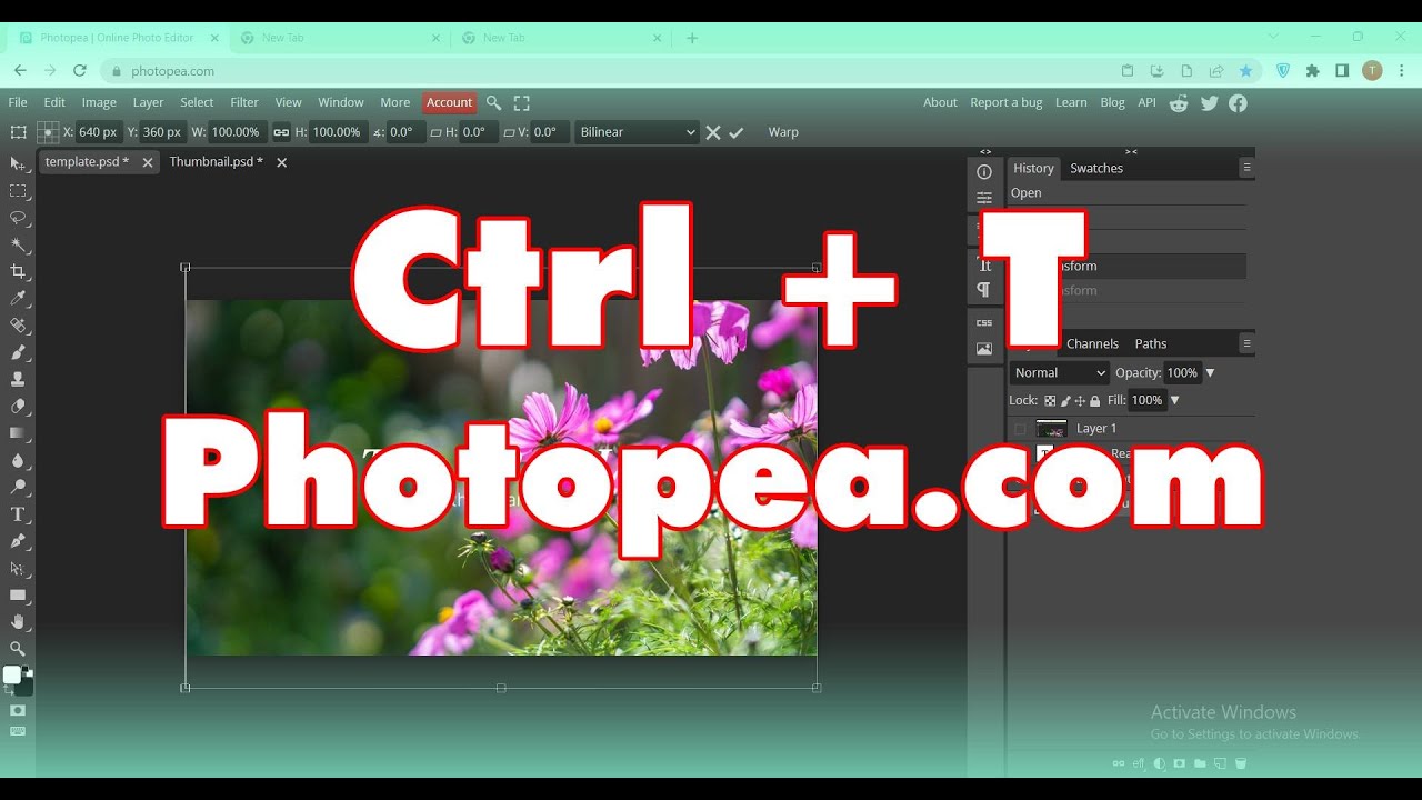 photopea ctrl t