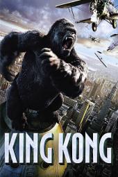 kong common sense media