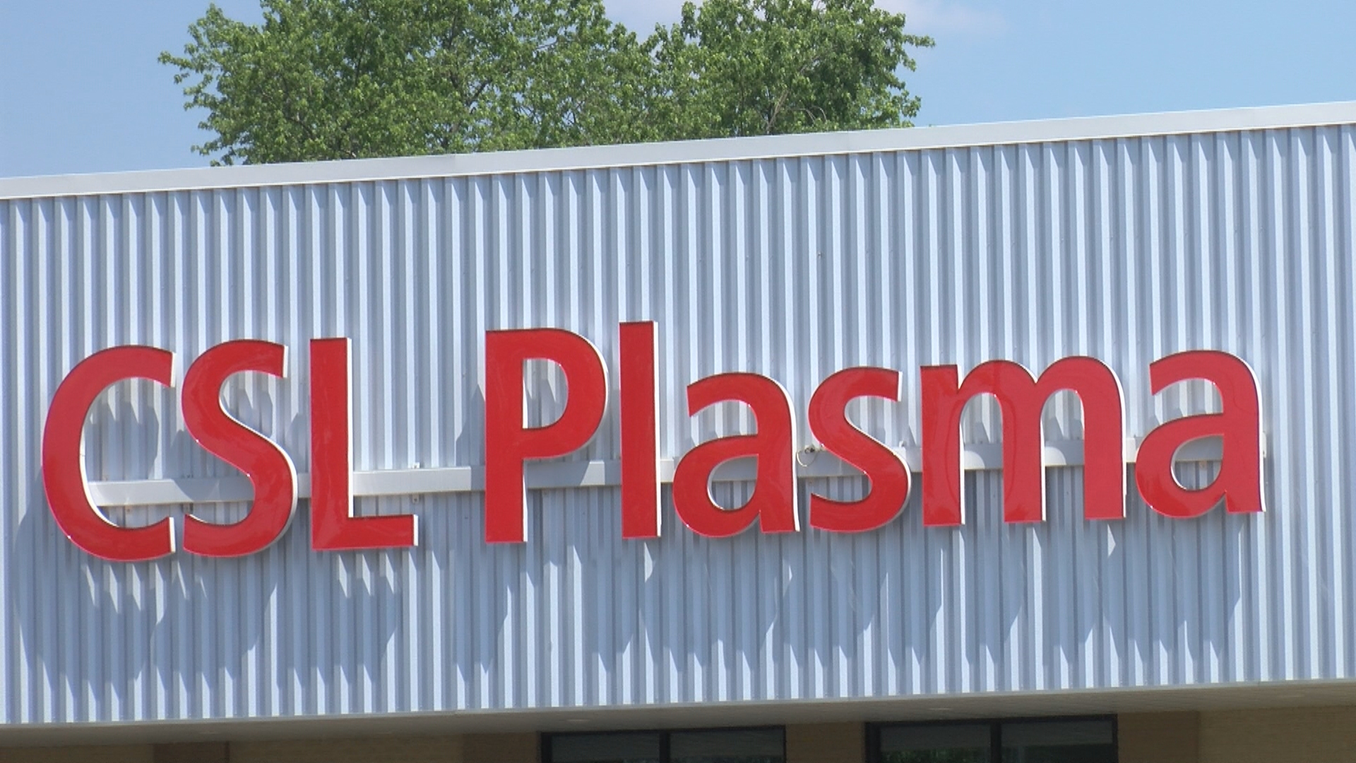 csl plasma champaign il