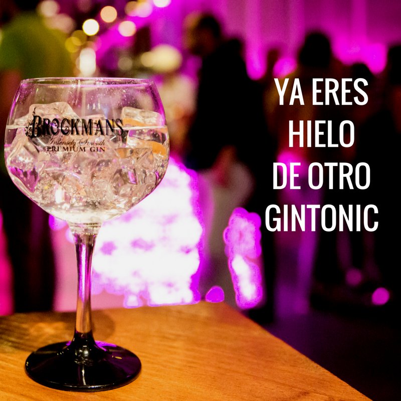 frases de gin